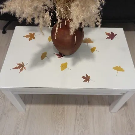 Apartment Volvoreta